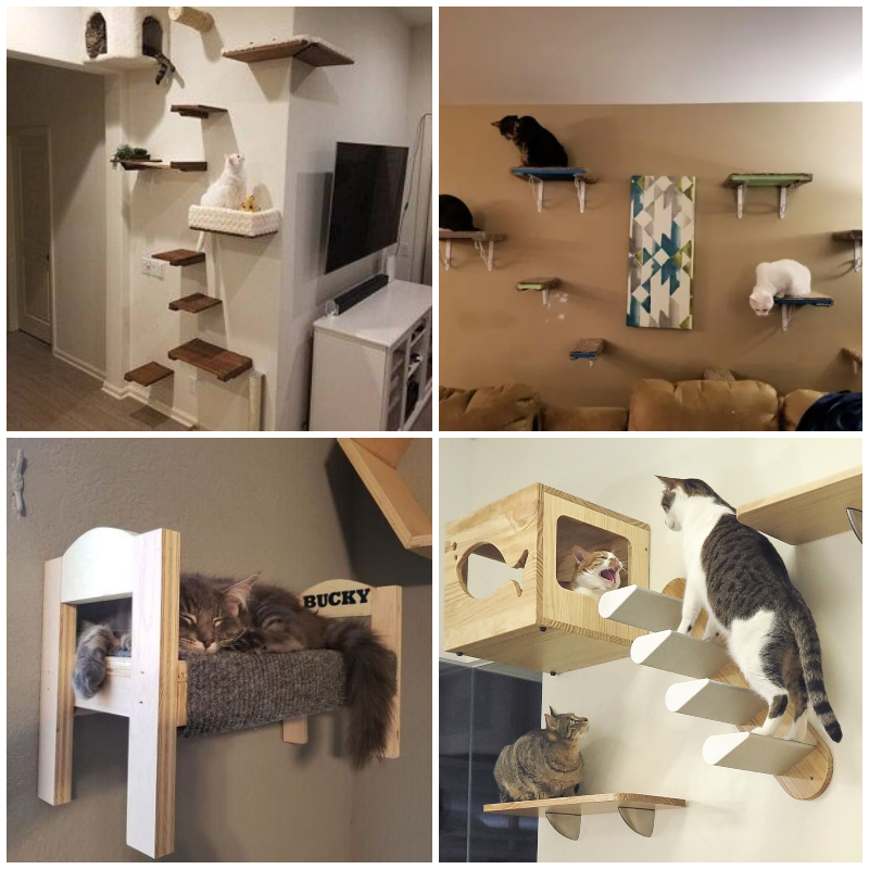 10 Simple DIY Cat Wall Ideas For Interior - Susie Harris