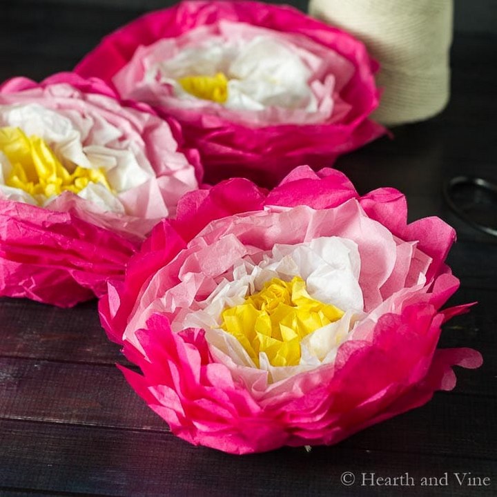 18 Diy Tissue Paper Flowers For Décor Susie Harris