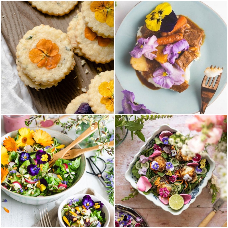 10 Edible Flower Recipes That Are Delicious Susie Harris