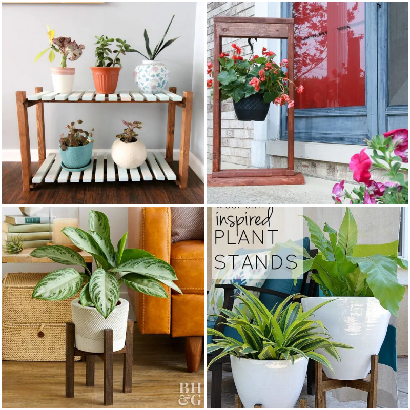 25 Best Plant Stand Concepts For Your Greenery - Susie Harris